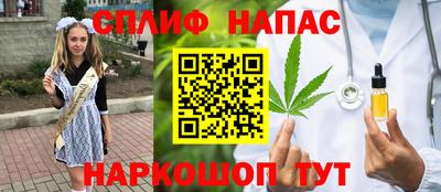 jwh Новозыбков