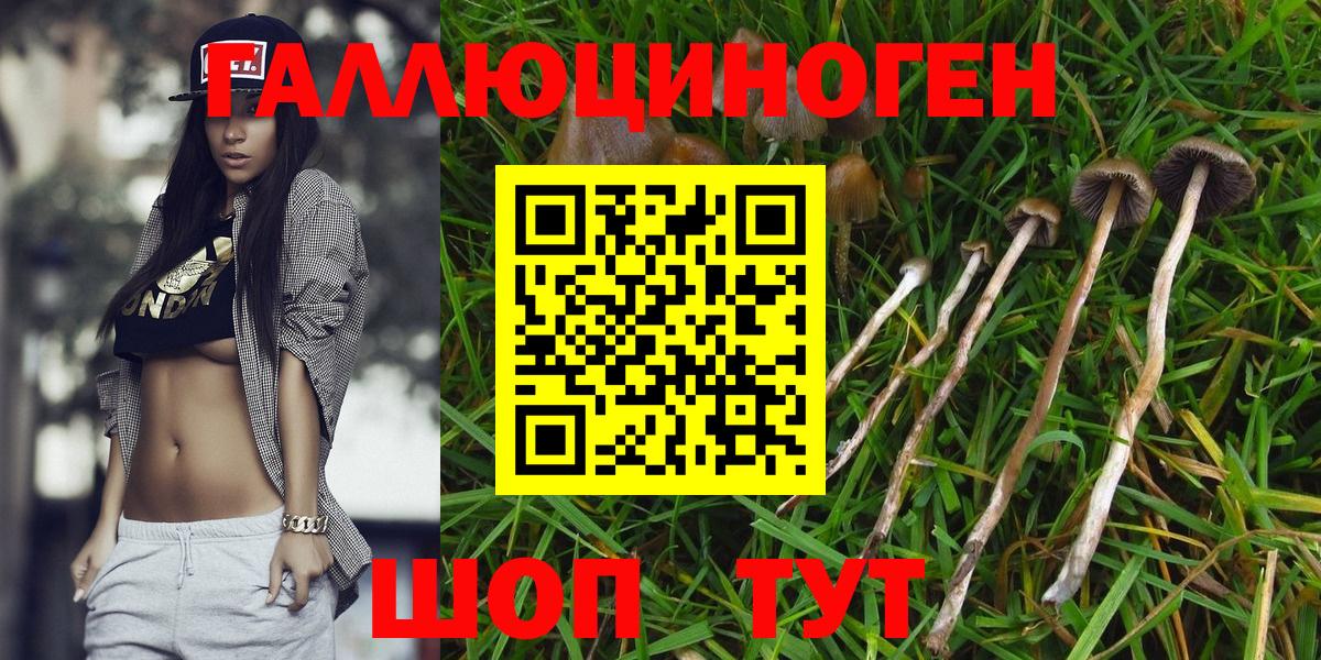 наркотики  Псилоцибиновые грибы GOLDEN TEACHER  Псилоцибиновые грибы Magic Shrooms  Вход с VPN  Ростов-на-Дону 
